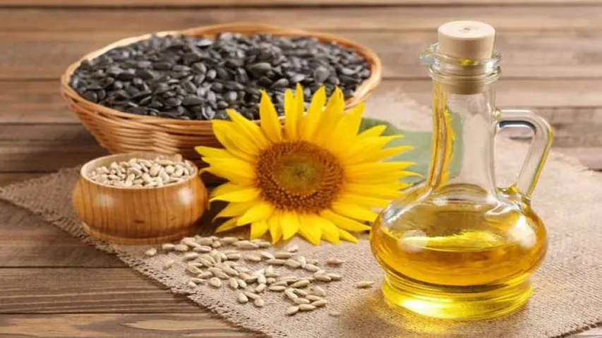Seed oils better for lowering cholesterol: Study