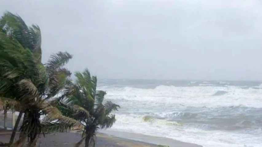 Low pressure to turn into depression over Odisha; cautionary Signal-III hoisted at 3 ports