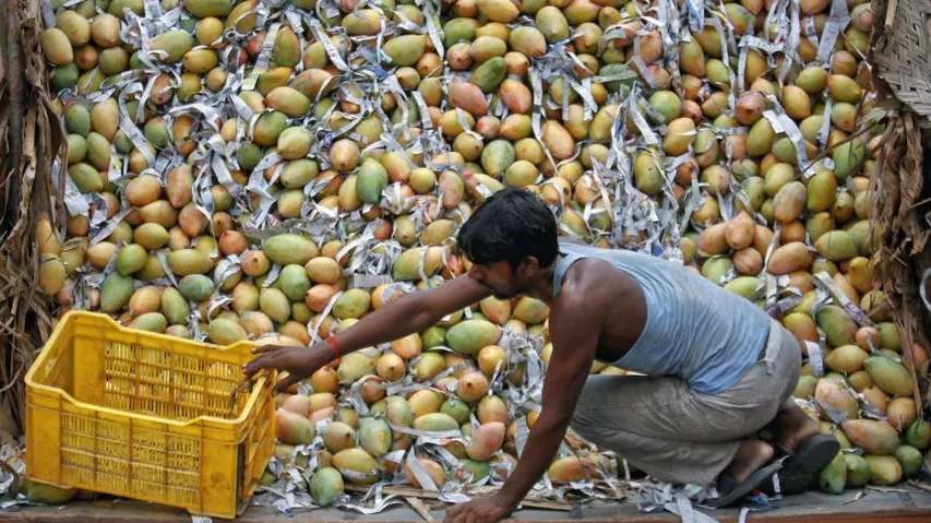 Bengal to export mangoes to Dubai