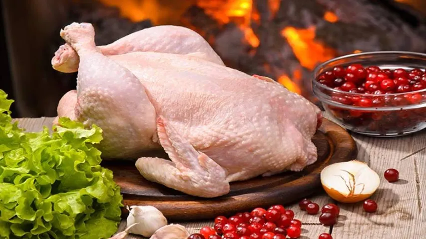 Meat-based diet improves length growth in infants: Study