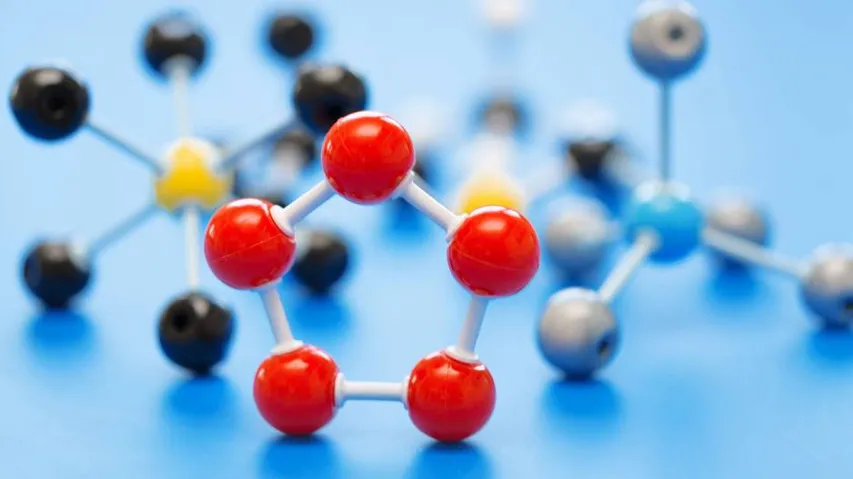Molecule that helps sperm find egg in marine invertebrates identified