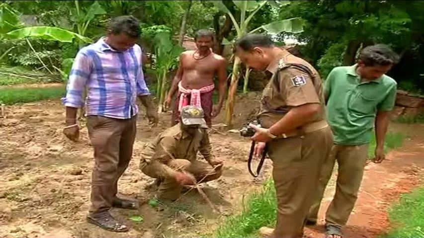 Niali: Two more sheep killed, 1 man injured in attack