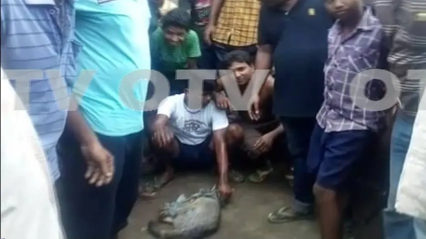 Niali villagers claim to have caught suspected 'mysterious' animal