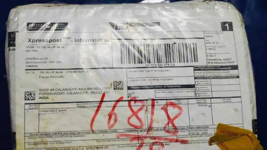 Heat On Bollywood Stars As NBC Busts Goa-Mumbai 'Buds' Syndicates