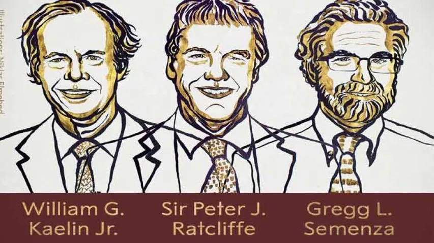 Three Americans awarded Nobel Prize in Medicine