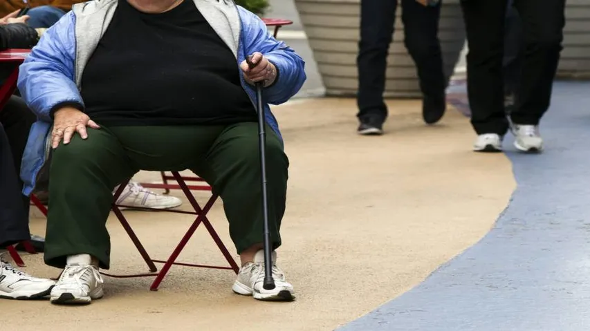 Genes that may lead to obesity identified