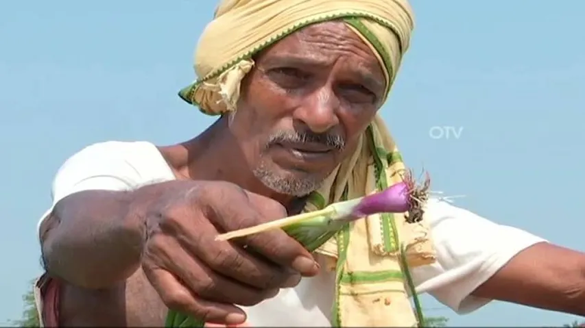Why Are Ganjam Farmers Turning Away From Onion Farming?