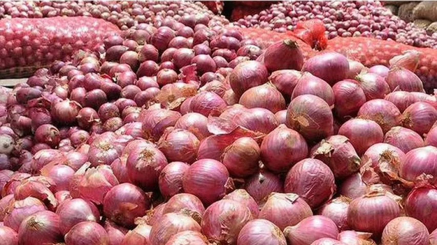 Onion Price: Centre Relaxes Import Norms, Releases Buffer Stock