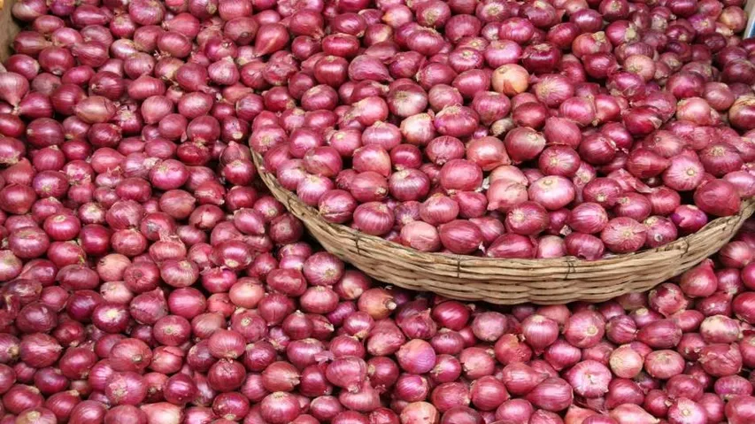 Govt Extends Stock Holding Limit On Onion Traders Indefinitely To Check Price Rise