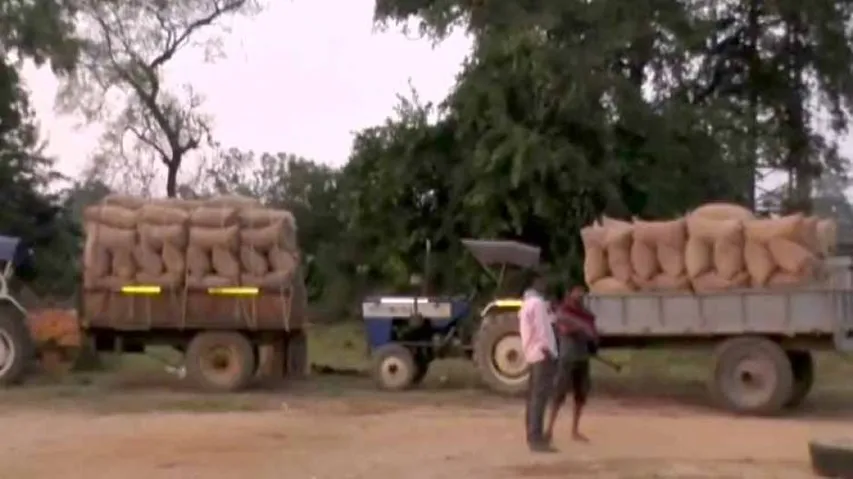Paddy Procurement Hit Over ‘Katni Chhatni’ In Odisha's Jharsuguda