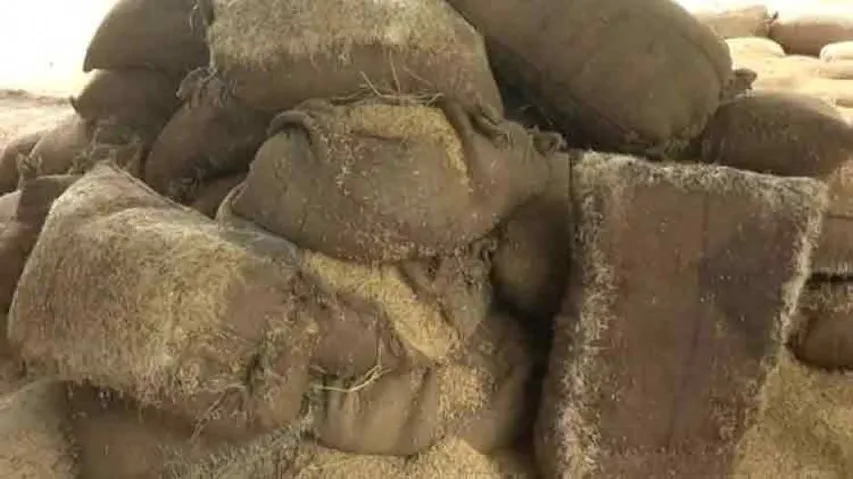Bargarh farmers left in lurch over delay in paddy procurement