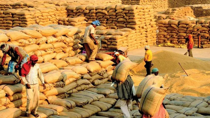 Paddy Procurement: Odisha Farmers Allege Highhandedness By Millers