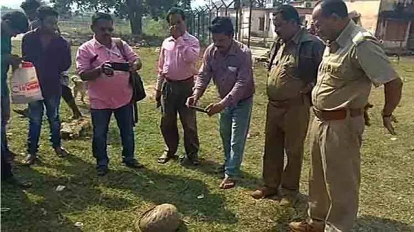 Pangolin smuggling racket busted in Rayagada, 5 arrested