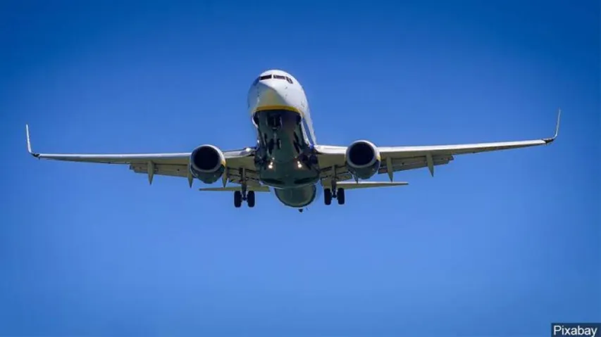 Mexican airline offers migrants $1 fares to return home