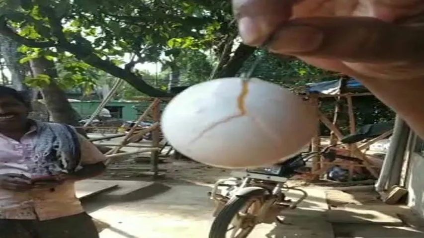'Artificial Egg' Scare Returns To Odisha