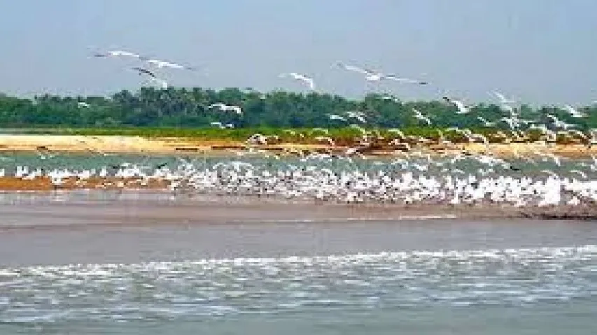 Wildlife dept gears up to prevent poaching in Chilika lake