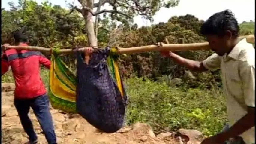Pregnant woman carried in sling, delivers baby on roadside in Odisha