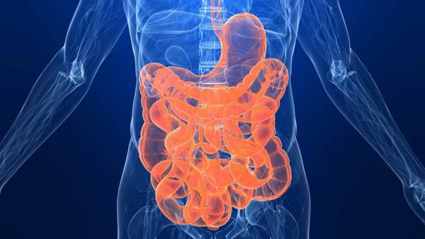 Cutting out on these foods can alleviate gastrointestinal issues