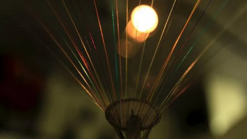 Chinese scientists take quantum leap in computing