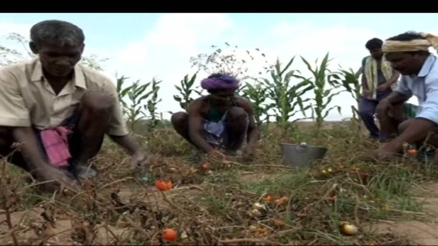 Strict action against banks for missing crop loan disbursement target: Minister