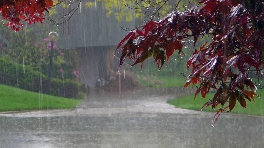 Withdrawal of southwest monsoon begins: IMD