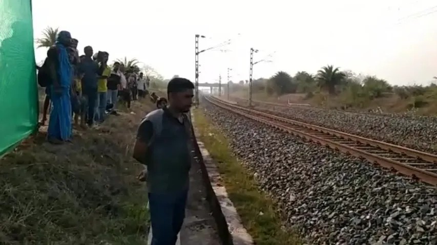 Jumbo dies after being hit by train in Angul