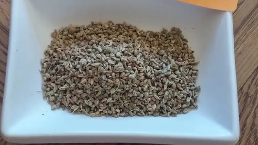 Ajwain seeds