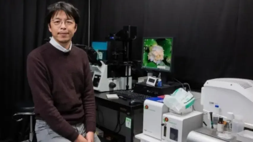 Researcher at Kyushu University