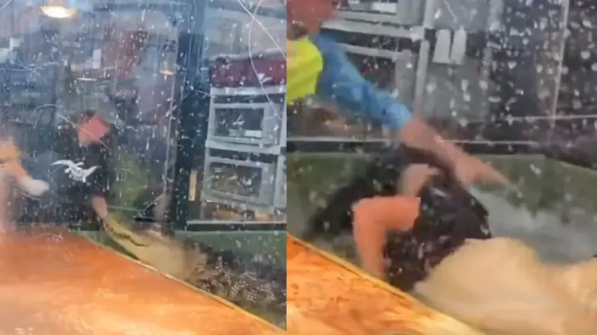 Crocodile attacks lady zoo keeper, visitor jumps for rescue; watch