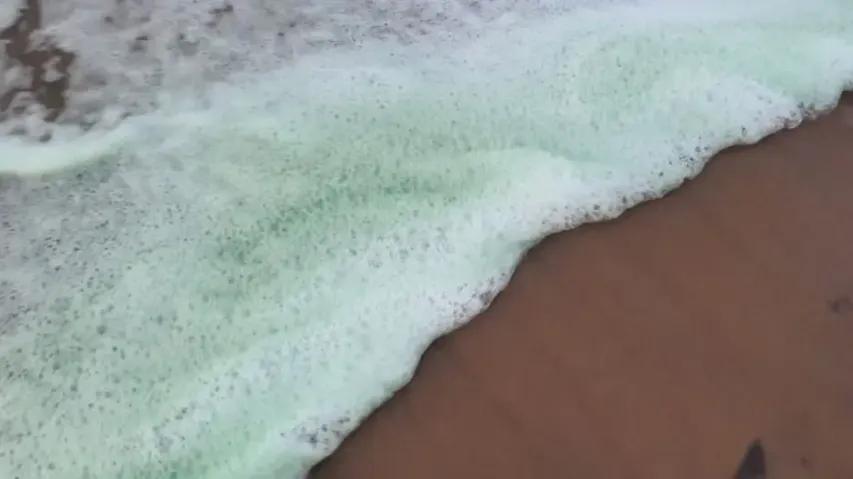 Oily substance found floating on sea water surface in Paradip, environmentalists express concern