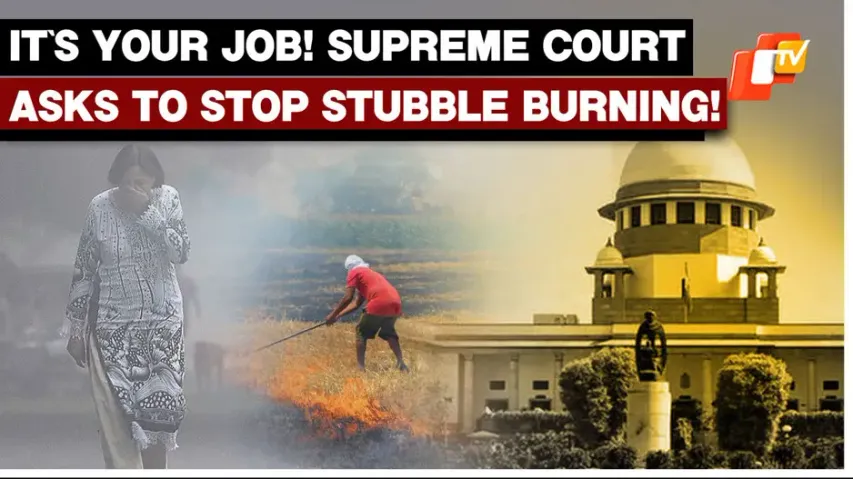 Delhi Pollution: SC Orders Neighboring States To Stop Stubble Burning Amid Air Crisis