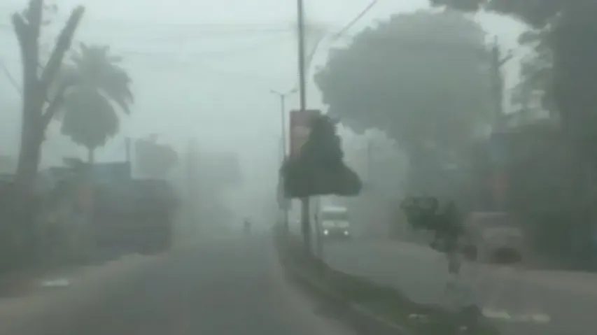 Winter chill to lose sting, mercury to rise from January: IMD 