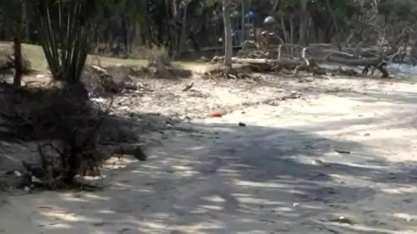 Paradip’s Mannad Udyan, Nehru Bangla reeling in negligence; cry for government’s attention