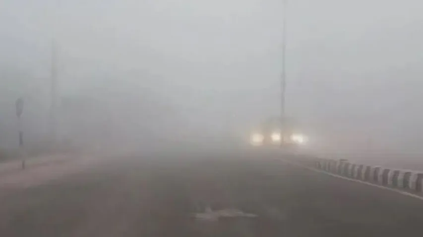 Dense fog alert: Yellow warning issued for 13 Odisha districts, IMD predicts rise in temperature