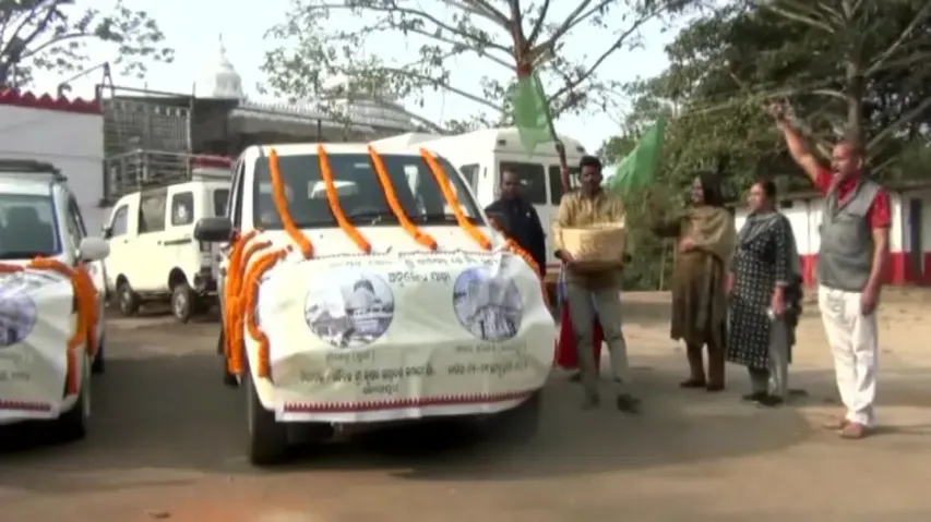 Kalajeera Rice Leaves From Koraput