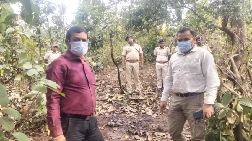 Carcass of elephant calf found in Odisha’s Sundargarh  