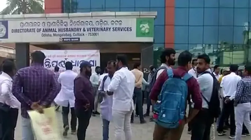 Agitating veterinary doctors in Odisha put strike on hold; livestock healthcare services to be norma
