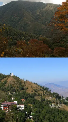 9 Indian Places Named After Animals And Their Backstories