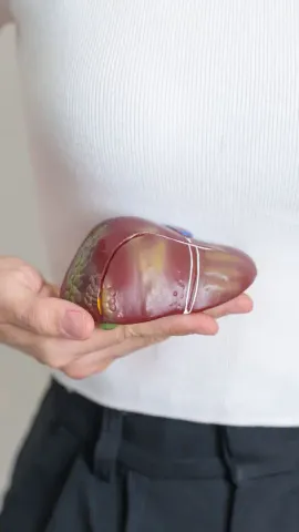 9 Foods To Reduce Fatty Liver And Make It Strong