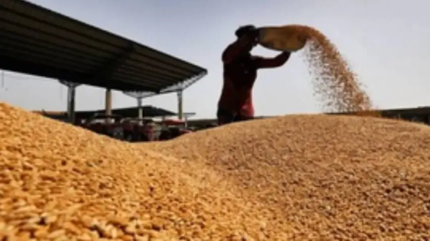 Centre issues order on wheat stock declaration by traders to keep prices in check
