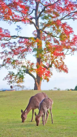 9 Mesmerizing Places On Earth That Can Take Your Breath Away, Watch