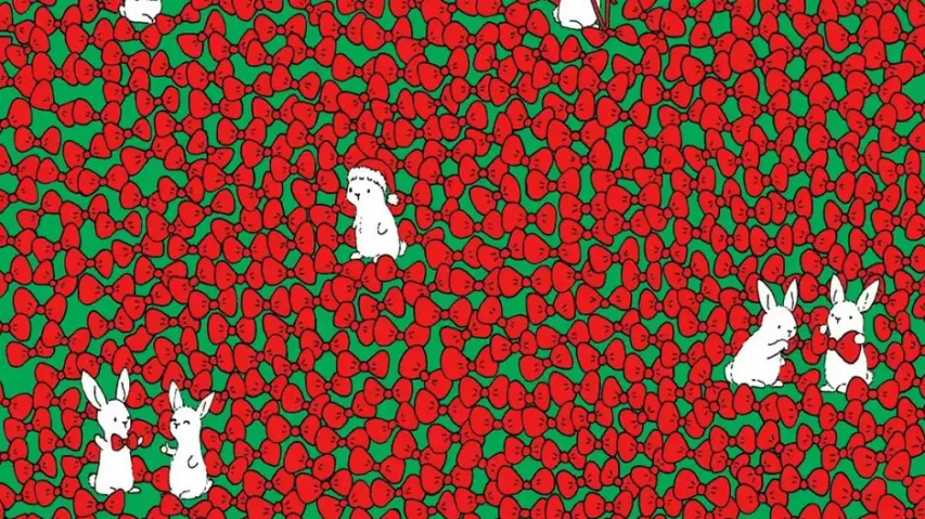 Can you find the hidden socks among the bows?