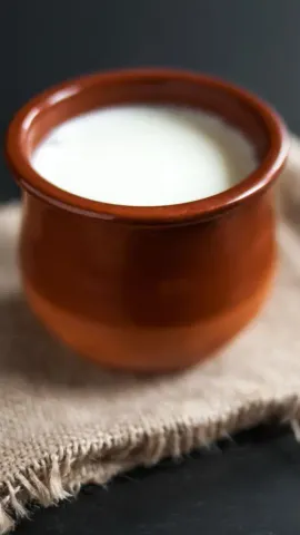 8 Curd-Based Dishes That Are Perfect Summer Delights