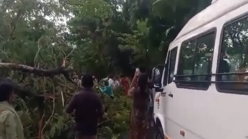 Nor’wester rains lash Bhubaneswar; broken-off tree branches disrupt traffic 