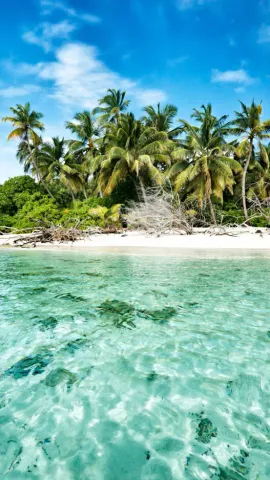 Glimpses Of World’s Most Beautiful Beaches