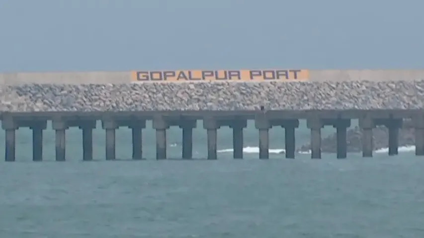 Gopalpur Port fails to usher development over frequent ownership changes