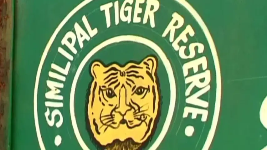Odisha to get 5 Royal Bengal Tigers