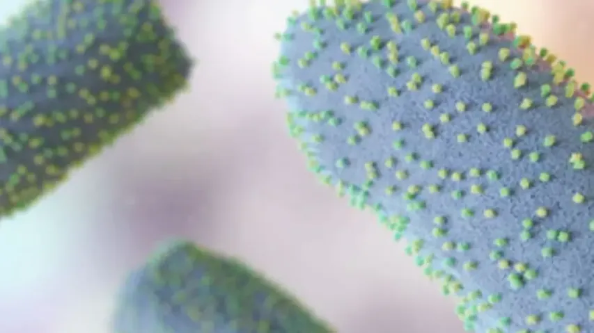 Four children die in Gujarat from suspected Chandipura virus infection