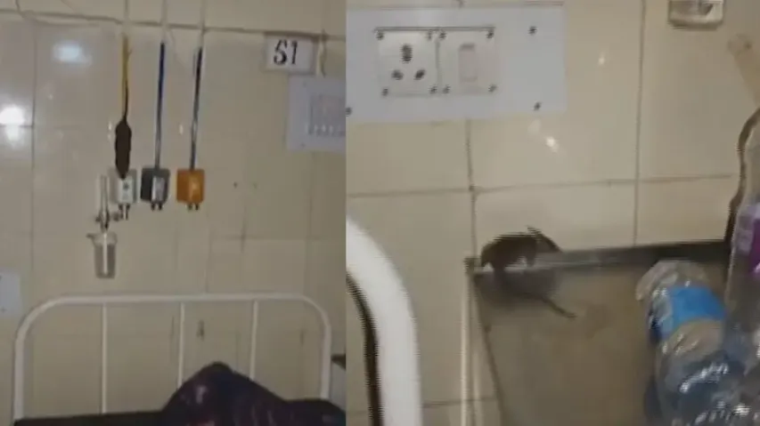 Rats attack in Koraput SLN Medical College & Hospital giving patients sleepless nights