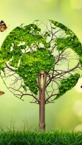 On World Nature Conservation Day, Know How Technology Boosts Wildlife Conservation